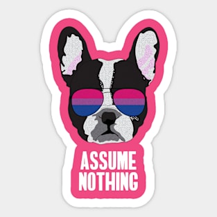 ASSUME NOTHING - Boston Terrier Dog Bi Bisexual Pride Flag Sticker